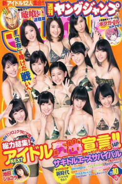 紫荆侠